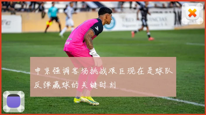 申京强调客场挑战艰巨现在是球队反弹赢球的关键时刻