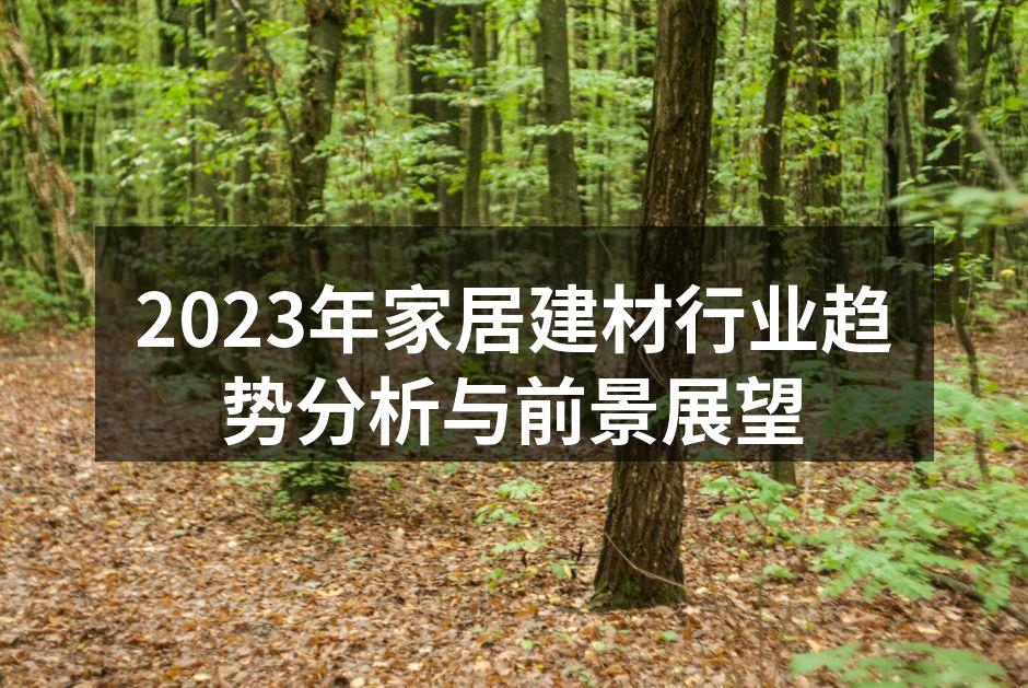 2023年家居建材行业趋势分析与前景展望